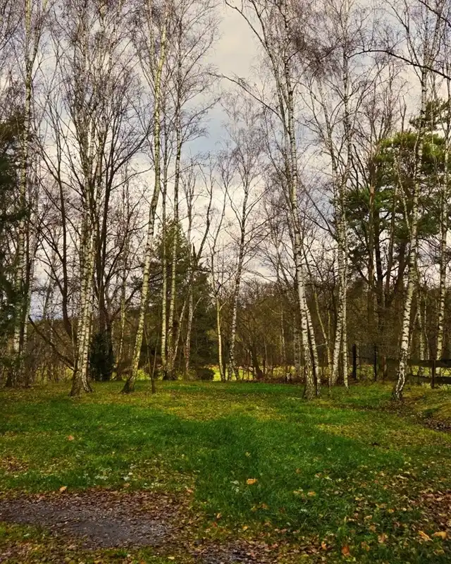 Campingplatz mit Wiesenblick