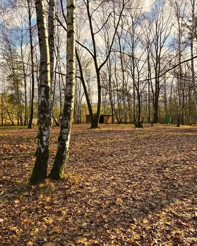 Zeltplatz am Olbasee